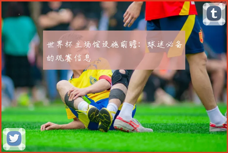 世界杯主场馆设施前瞻：球迷必备的观赛信息